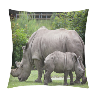 Personality  Southern White Rhinoceros Pillow Covers