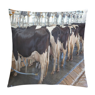 Personality  Cow Milking Facility Pillow Covers