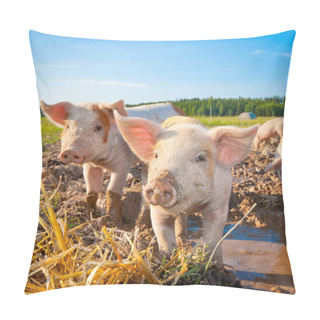 Personality  Two Piglets Pillow Covers