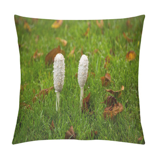 Personality  Shaggy Ink Cap Toadstools In Wet Grass Pillow Covers