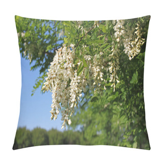 Personality  Flowering Acacia Pillow Covers
