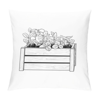 Personality  Art Background, Copy Space  Pillow Covers