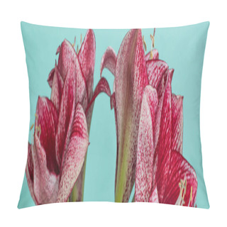 Personality  Close Up View Of Red Lilies On Turquoise, Panoramic Shot Pillow Covers