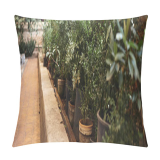 Personality  Fresh Plants And Bushes And Trees Inside Of Greenhouse, Indoor Garden Ecosystem Concept Banner Pillow Covers