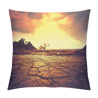 Personality  Drought Land In Desert Pillow Covers