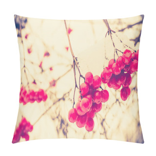 Personality  Retro Mountain Ash In Snow Pillow Covers