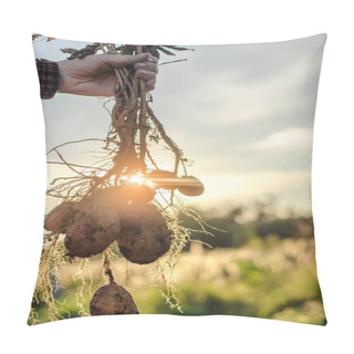 Personality  A Bush Of Young Fresh Potatoes  Pillow Covers