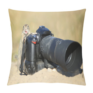 Personality  European Ground Squirrel With Professional Camera And Open Mouth Pillow Covers