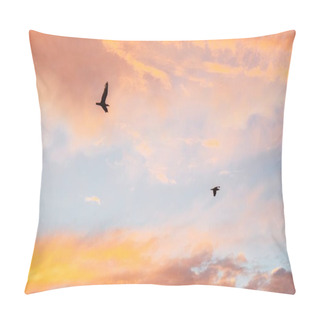 Personality  A Low Angle Shot Of The Silhouettes Of Birds Flying Under A Cloudy Sky During A Beautiful Sunset - Great For Wallpapers Pillow Covers