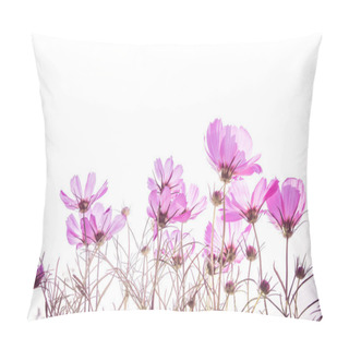 Personality   Soft Focus Of Cosmos Flowers  Pillow Covers