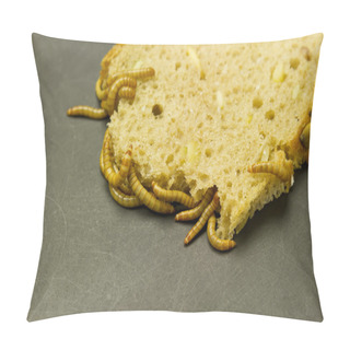 Personality  Mealworm Eat Bread Pillow Covers