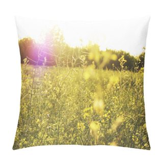 Personality  Field In Sunshine And Sunbeam Pillow Covers