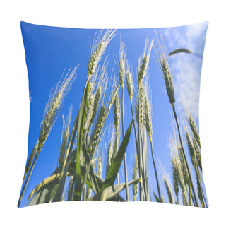 Personality  Landscape Wheat Fields On A Sunny Summer Day Pillow Covers