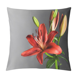Personality  Beautiful Red Lily Flower Over Black Pillow Covers