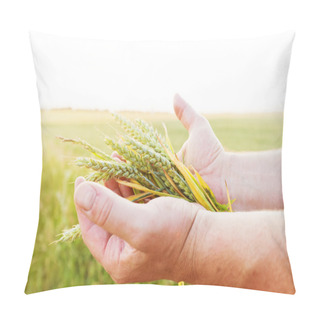 Personality  Grain In Farmer's Hands Pillow Covers