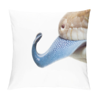 Personality  Bluetongue Pillow Covers