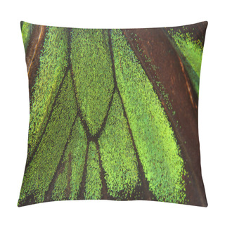 Personality  Butterfly Wing Background Pillow Covers