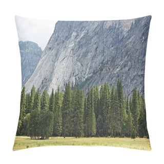 Personality  Yosemite Valley Meadow Pillow Covers