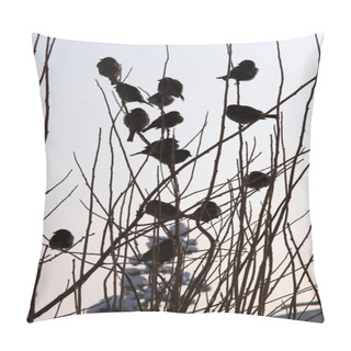 Personality  Flock Of Birds In Winter, Erzurum, Turkey Pillow Covers