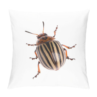 Personality  One Colorado Potato Beetle Isolated On White Pillow Covers