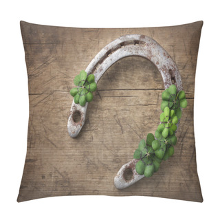 Personality  Old Rusty Horseshoe And Four Leaf Clover Pillow Covers