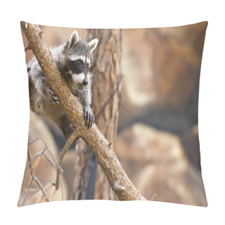 Personality  Playful Raccoon Pillow Covers