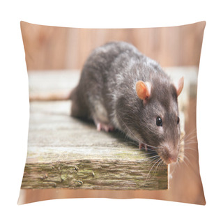Personality  Pet Rat Pillow Covers