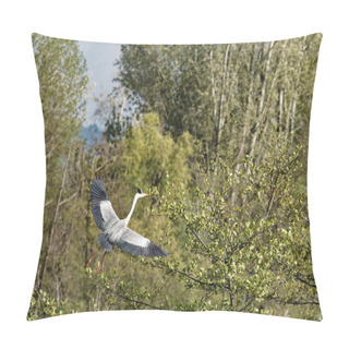 Personality  Heron In Oasi Di Porta Lake In Tuscany Pillow Covers