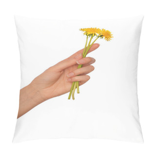Personality  Yellow Dandelions Pillow Covers