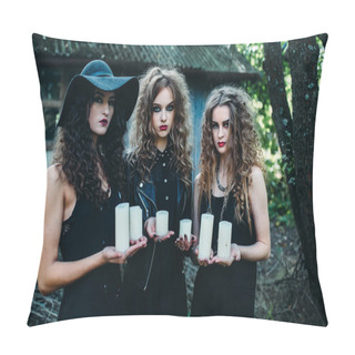 Personality  Three Vintage Women As Witches Pillow Covers