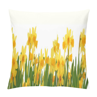 Personality  Spring Daffodils Border Pillow Covers