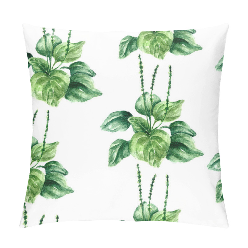 Personality  Watercolor plantain herbs. seamless pattern pillow covers