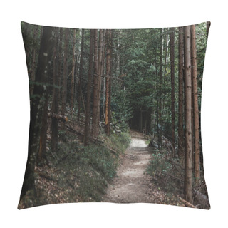 Personality  Selective Focus Of Sunshine On Path Near Fir Trees In Woods  Pillow Covers