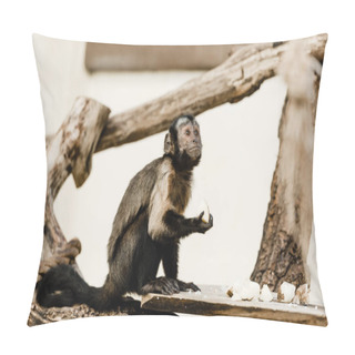 Personality  Selective Focus Of Cute Monkey Holding Coconut In Zoo Pillow Covers