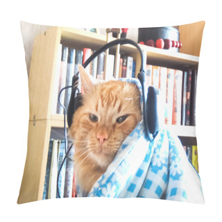 Personality  Funny Ginger Cat With Headphones Pillow Covers