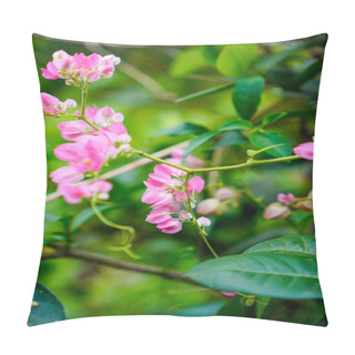 Personality  Pink Teardrop Flower With Close Up View  Pillow Covers
