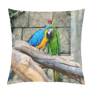 Personality  Green And Blue And Yellow Parrots Wash, Grooming Pillow Covers