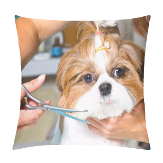 Personality  Grooming The Shih Tzu Dog Pillow Covers