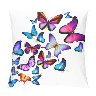 Personality  Many Different Butterflies Flying, Isolated On White Background Pillow Covers