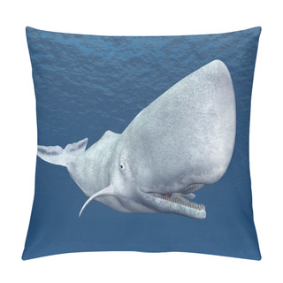 Personality  Sperm Whale Pillow Covers