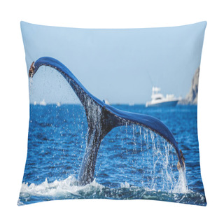 Personality  Tail Of Humpback Whale Pillow Covers