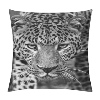 Personality  Leopard Pillow Covers
