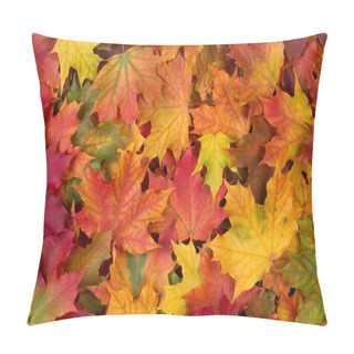 Personality  Fall Leaves Background Pillow Covers
