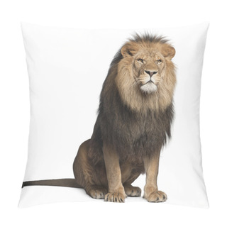 Personality  Lion, Panthera Leo, 8 Years Old, Sitting In Front Of White Background Pillow Covers