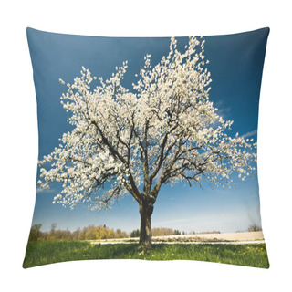 Personality  Blossoming Tree In Spring Pillow Covers
