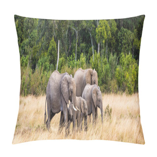 Personality  Family Of African Elephants Walking Through Grasslands Of Kenya, Africa Pillow Covers