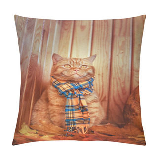 Personality  British Shorthair Cat In Autumn. Red Cat In A Blue Scarf With Fall Autumn Leaves Sitting On Wood Background . The British Cat With A Pumpkin And Autumn Leaves. Pillow Covers