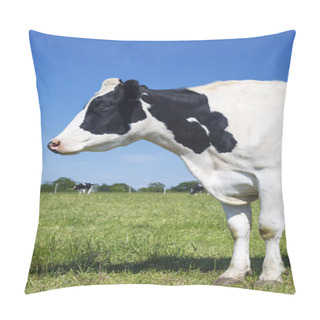 Personality  Portrait Of Beautiful Cow On Green Grass Pillow Covers