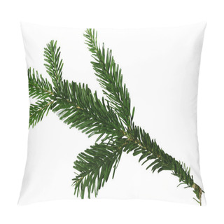 Personality  Green Douglas Fir Branch Isolated On White Background Pillow Covers