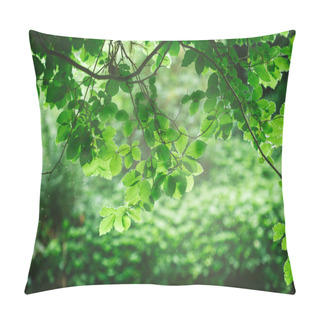 Personality  Leaves Pillow Covers